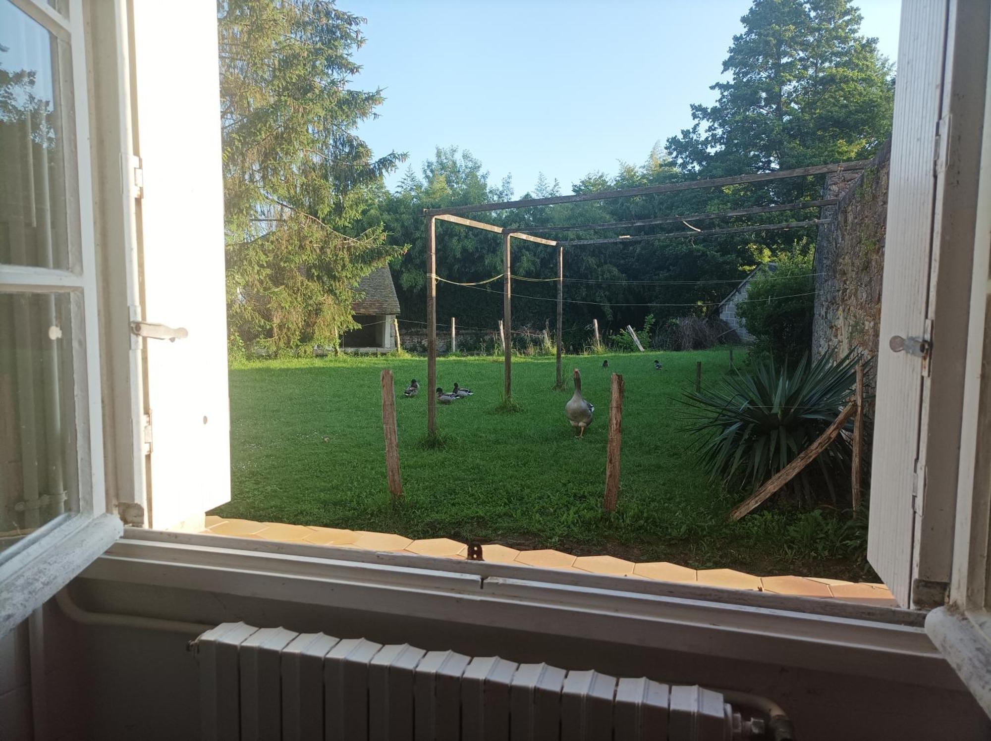La Maison Au Bord De L'Eau Gracay Exterior foto