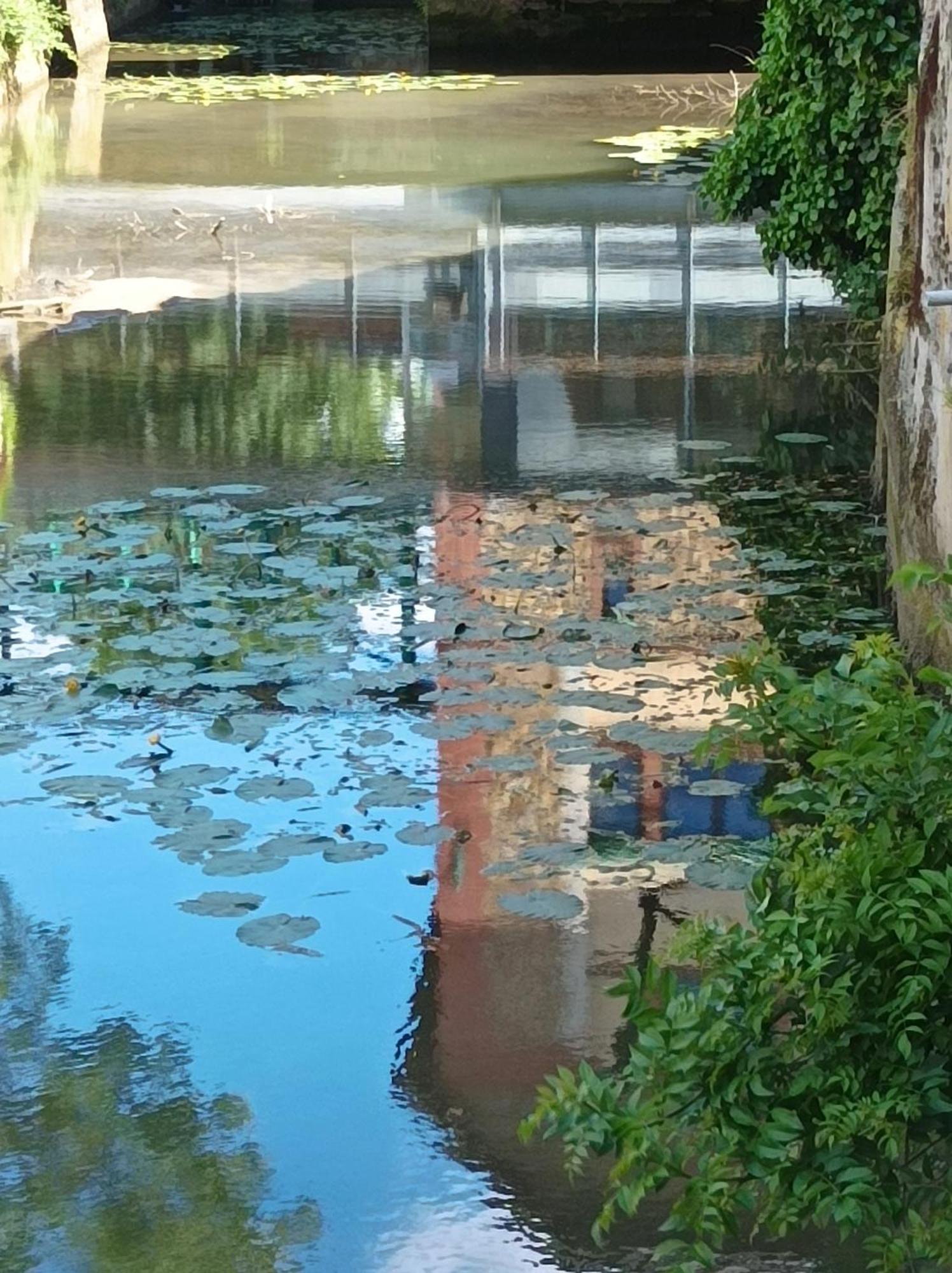 La Maison Au Bord De L'Eau Gracay Exterior foto